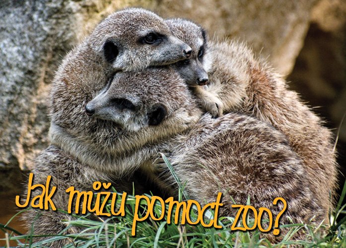 Poznejte naše zvířata