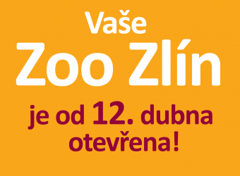 Koupit vstupenku online