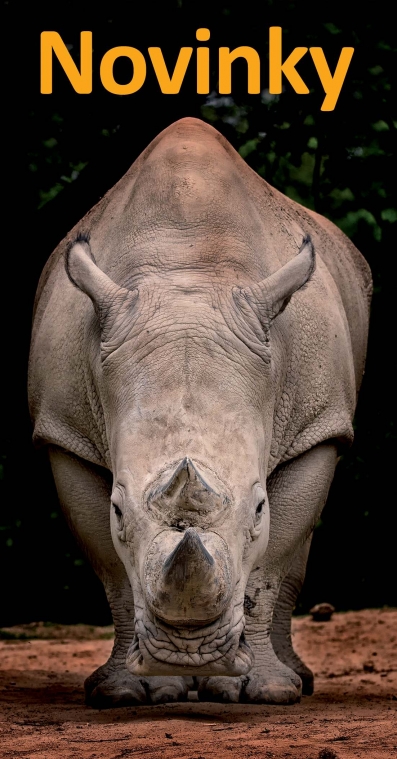 Novinky