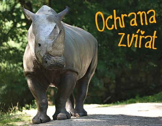 <strong>Ochrana</strong> zvířat