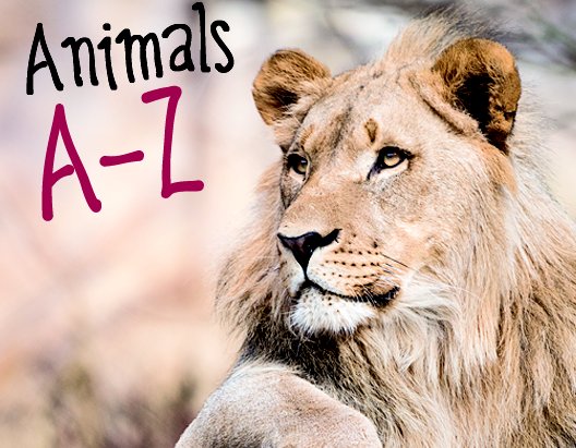 Animals A-Z