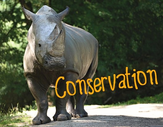 Conservation