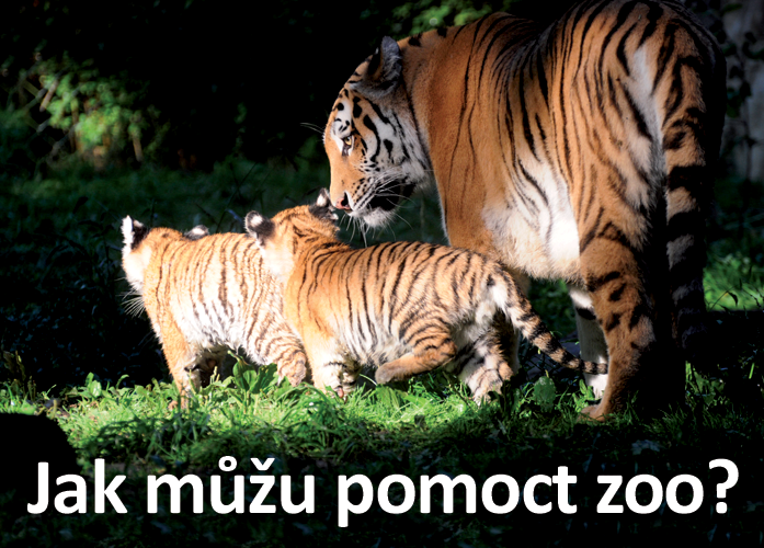 Poznejte naše zvířata