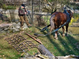 Kůň Artur pracoval pro zvířata