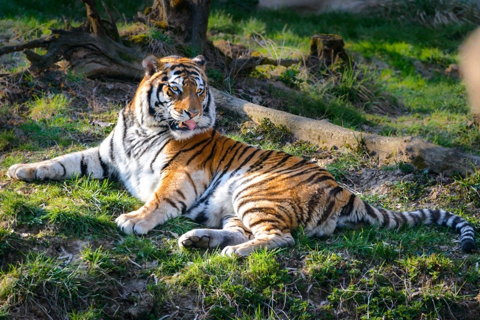 Velvyslankyně Estonska v zoo