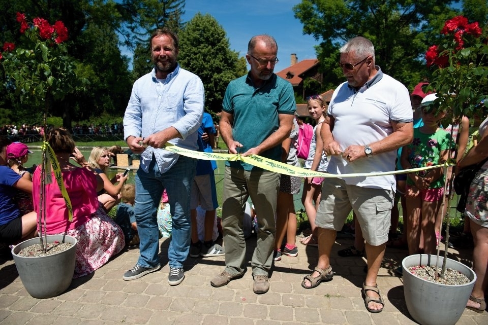 Aligátoři se vrátili do areálu