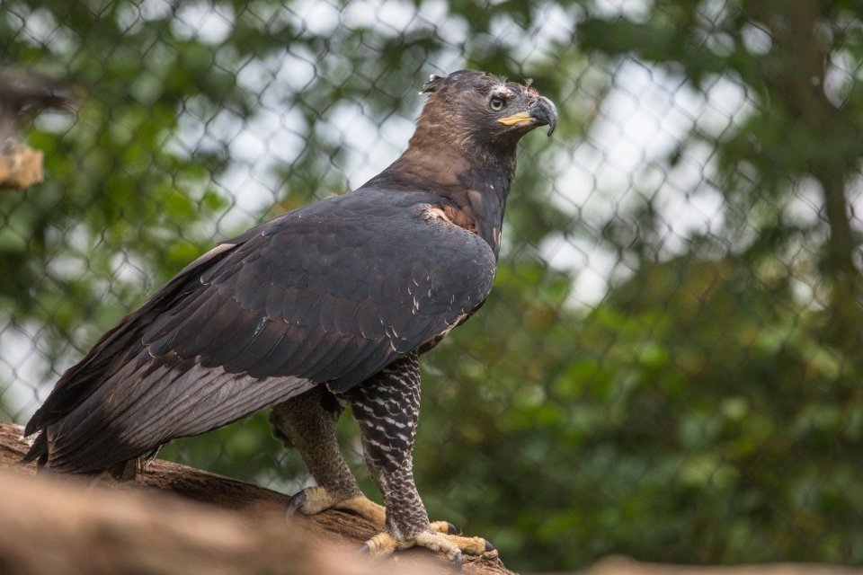 Videonovinky ZOO Zlín č. 14