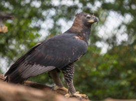 Videonovinky ZOO Zlín č. 14