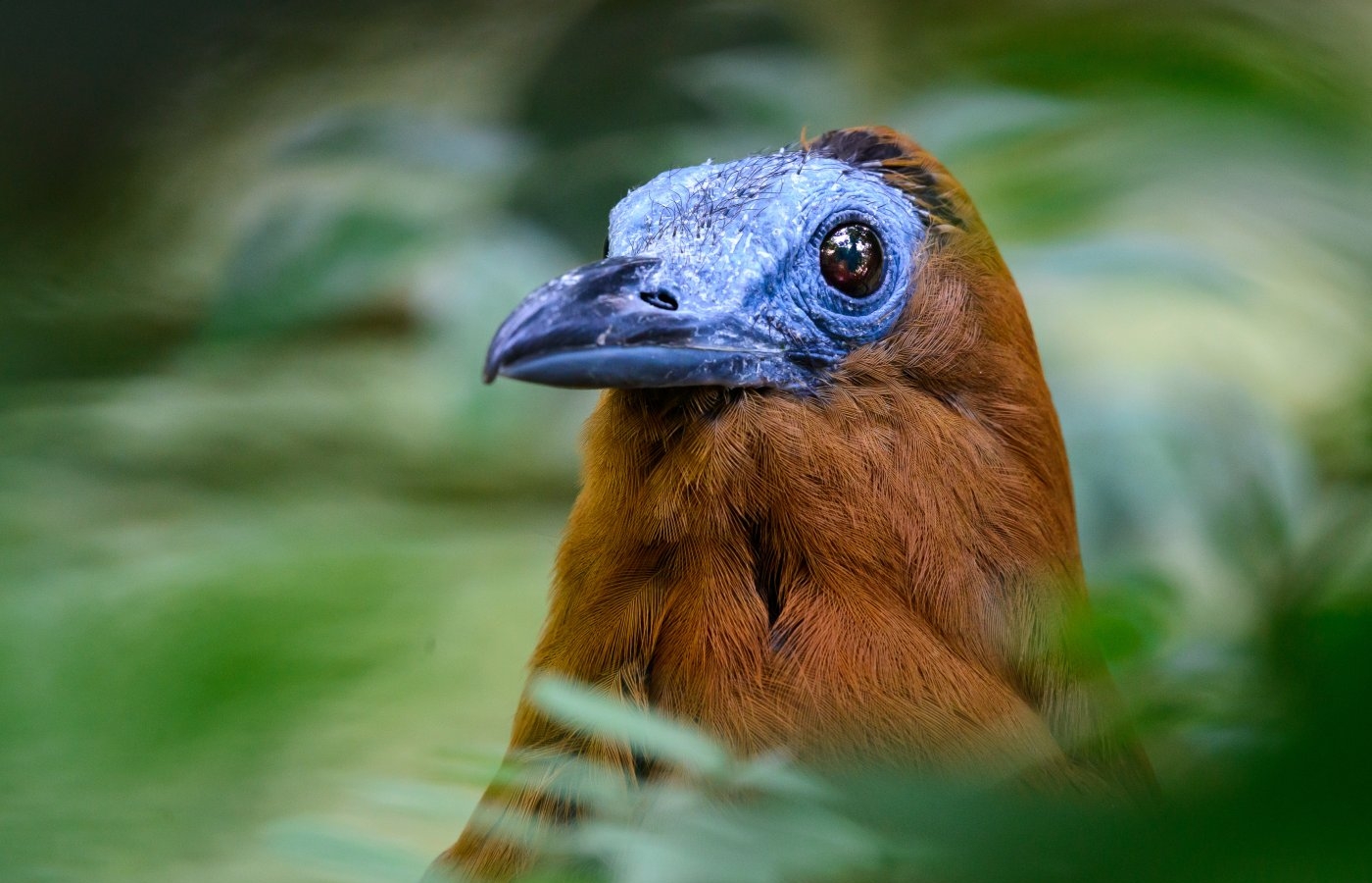 Studie potvrdila přínos zoo