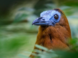 Studie potvrdila přínos zoo