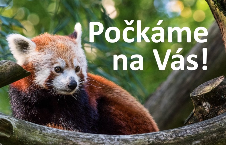 Počkáme na Vás!