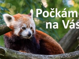 Počkáme na Vás!