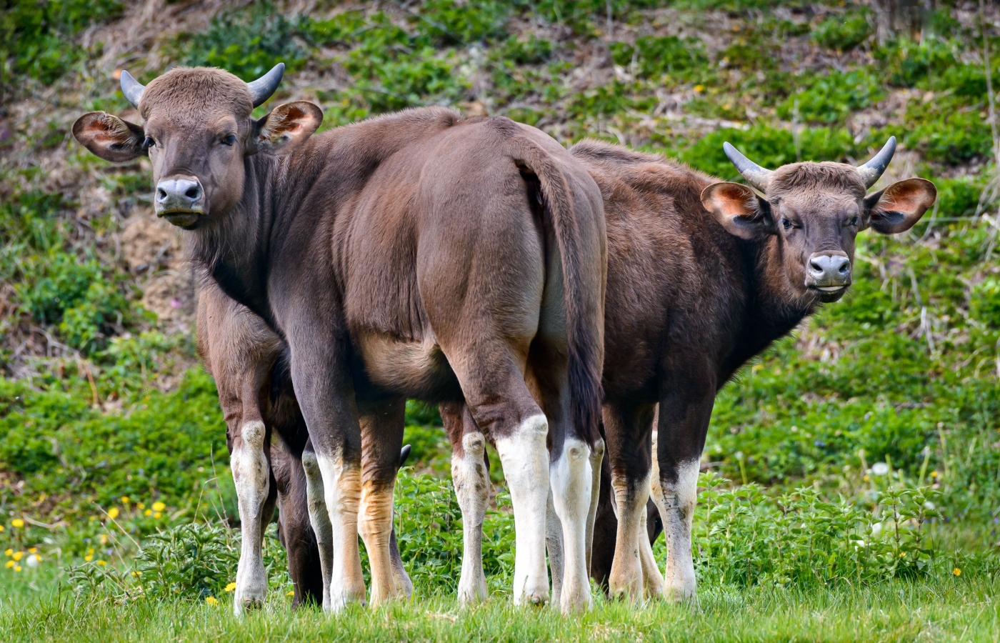 Návštěva zlínské zoo