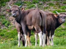 Návštěva zlínské zoo