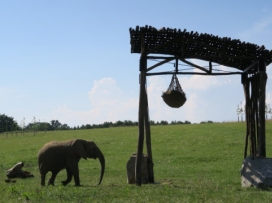 Nový přístřešek u slonů