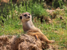 Zoo Zlín otevřena!