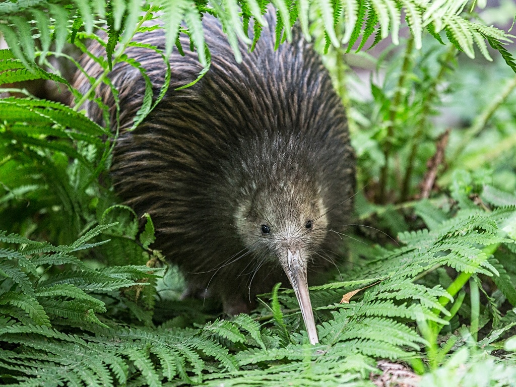 Mimořádná návštěvnost zoo