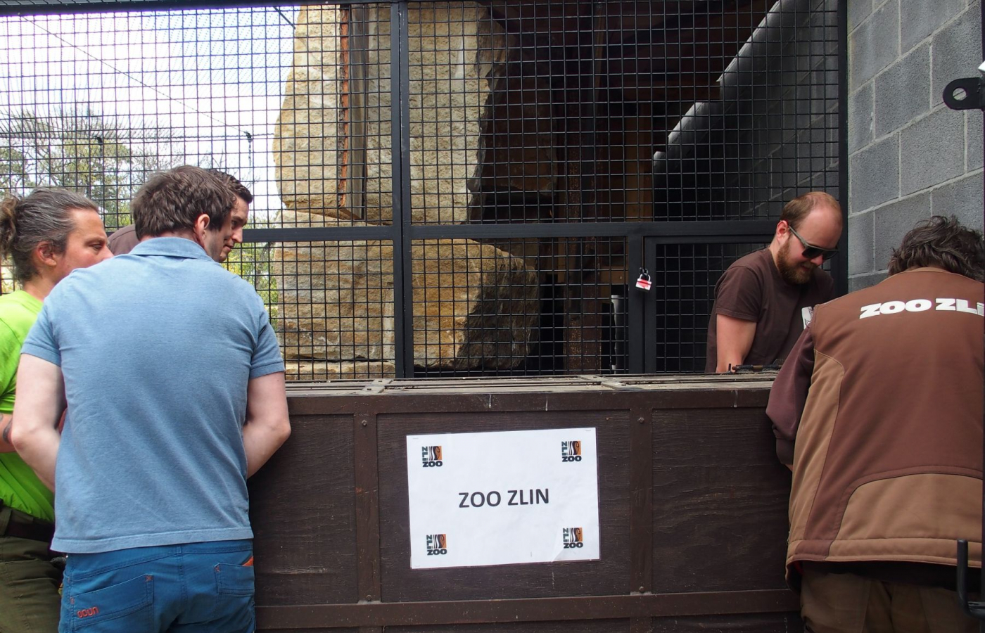 Jaguáři se vrací do Zoo Zlín