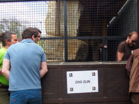 Jaguáři se vrací do Zoo Zlín