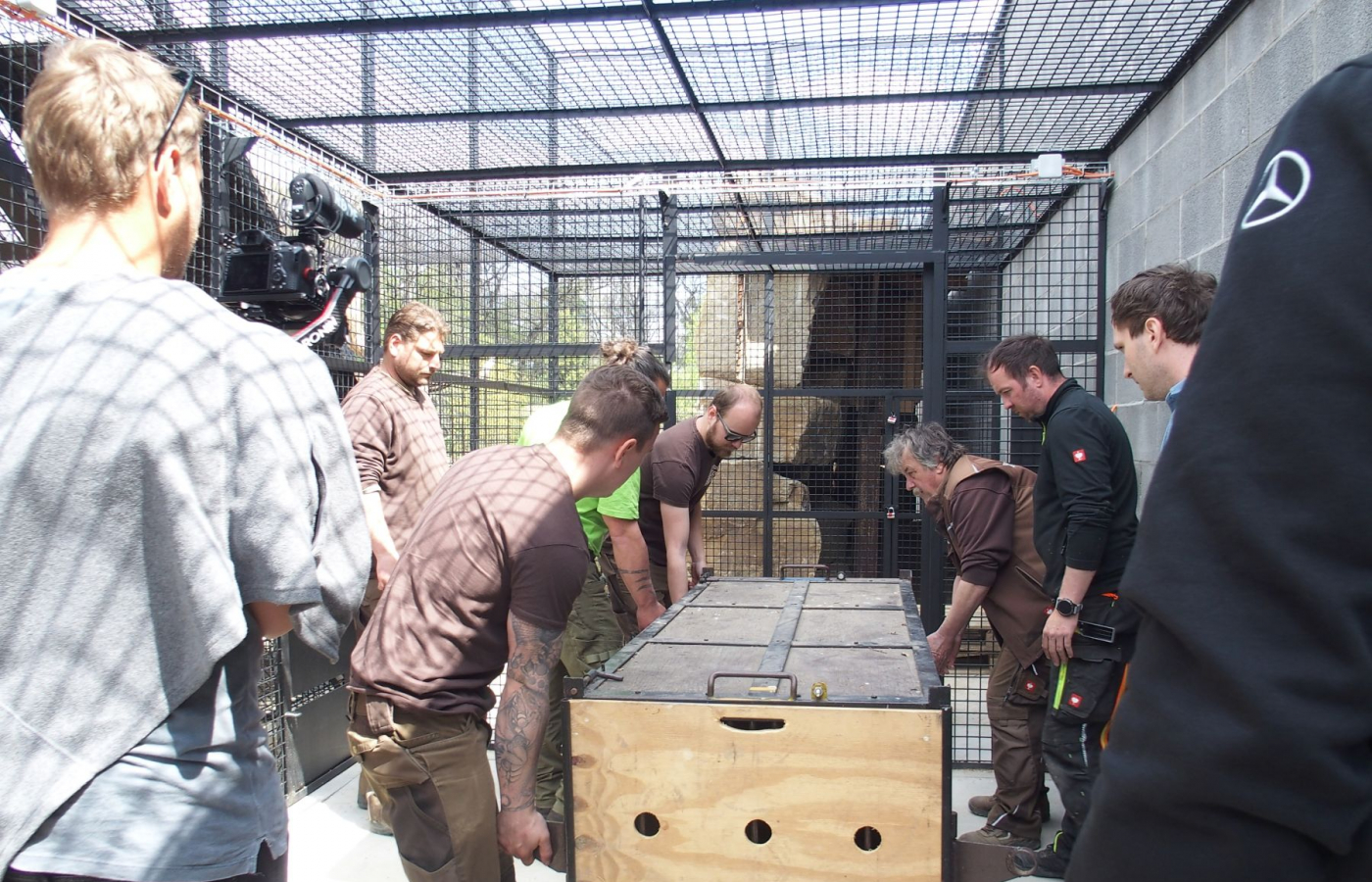 Jaguáři se vrací do Zoo Zlín