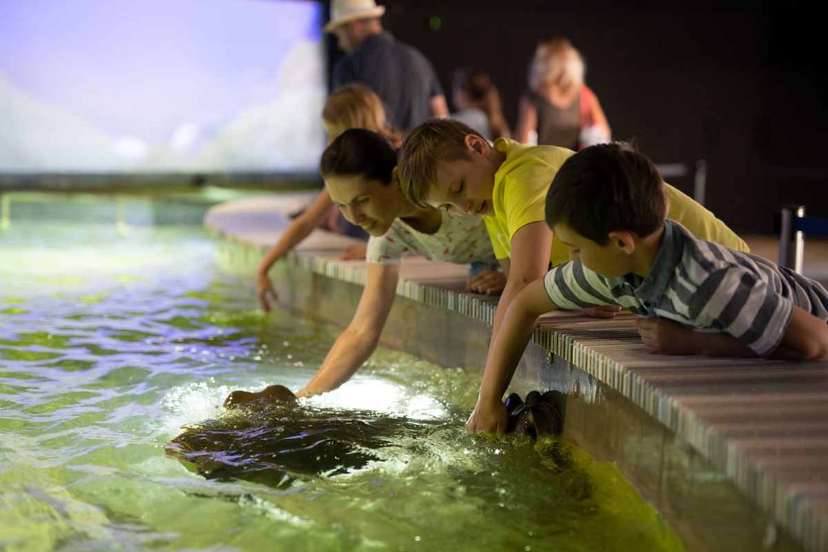 Zoo Zlín je třetím nejnavštěvovanějším turistickým místem ČR za rok 2021!