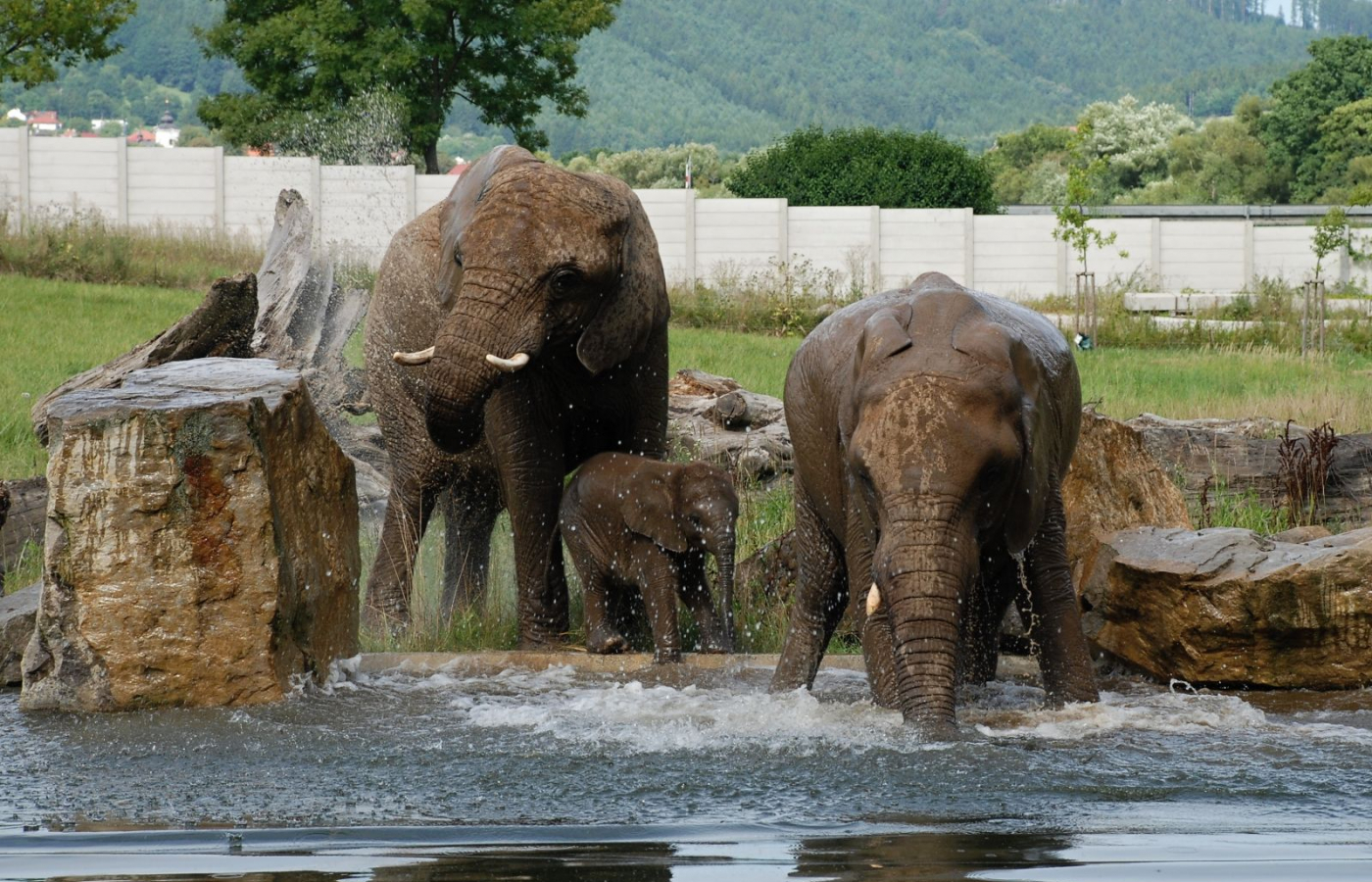 Zoo Zlín je třetím nejnavštěvovanějším turistickým místem ČR za rok 2021!