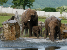 Zoo Zlín je třetím nejnavštěvovanějším turistickým místem ČR za rok 2021!