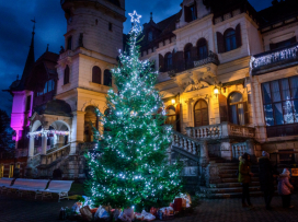 Rozsvícení vánočního stromu a světelné výzdoby