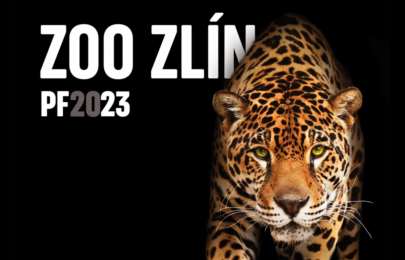 Přejeme vám šťastný a úspěšný rok 2023!