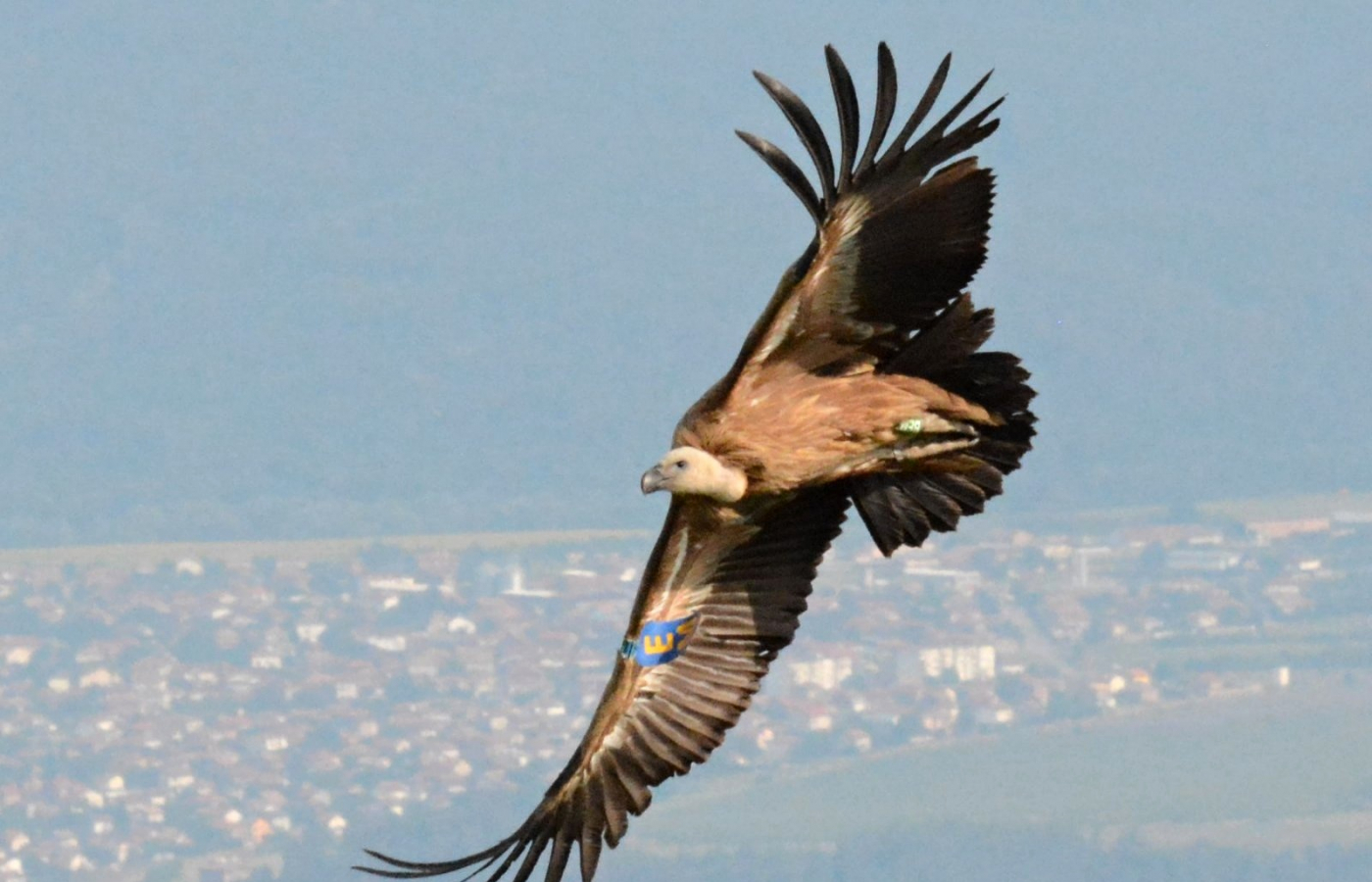 Supi ze Zlína krouží nad Balkánem