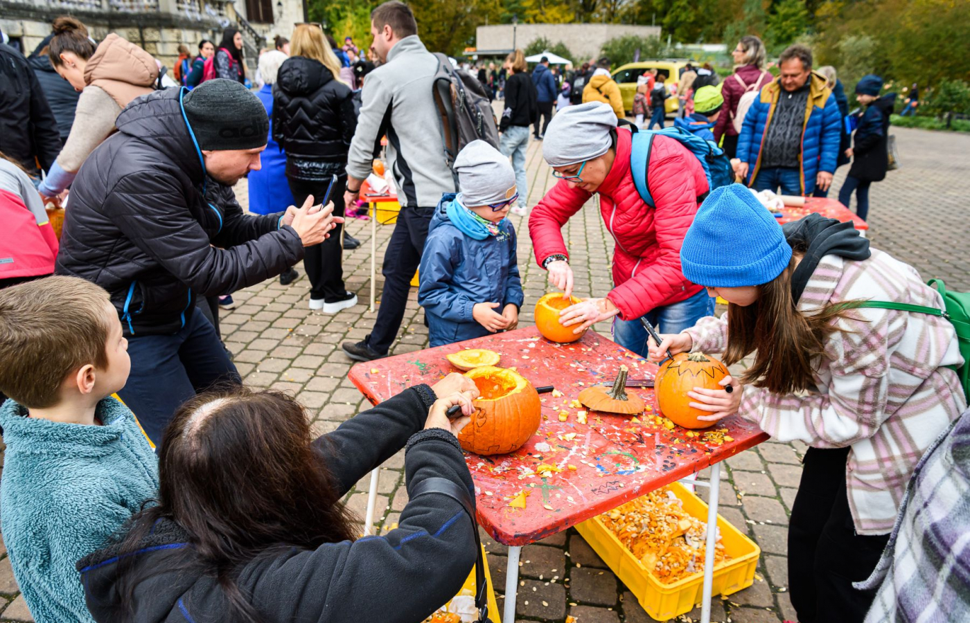 Ohlédnutí za Halloweenem