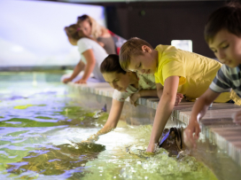 Zoo Zlín je ekonomickým tygrem mezi zoologickými zahradami