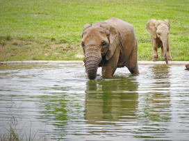 Květen v Zoo Zlín