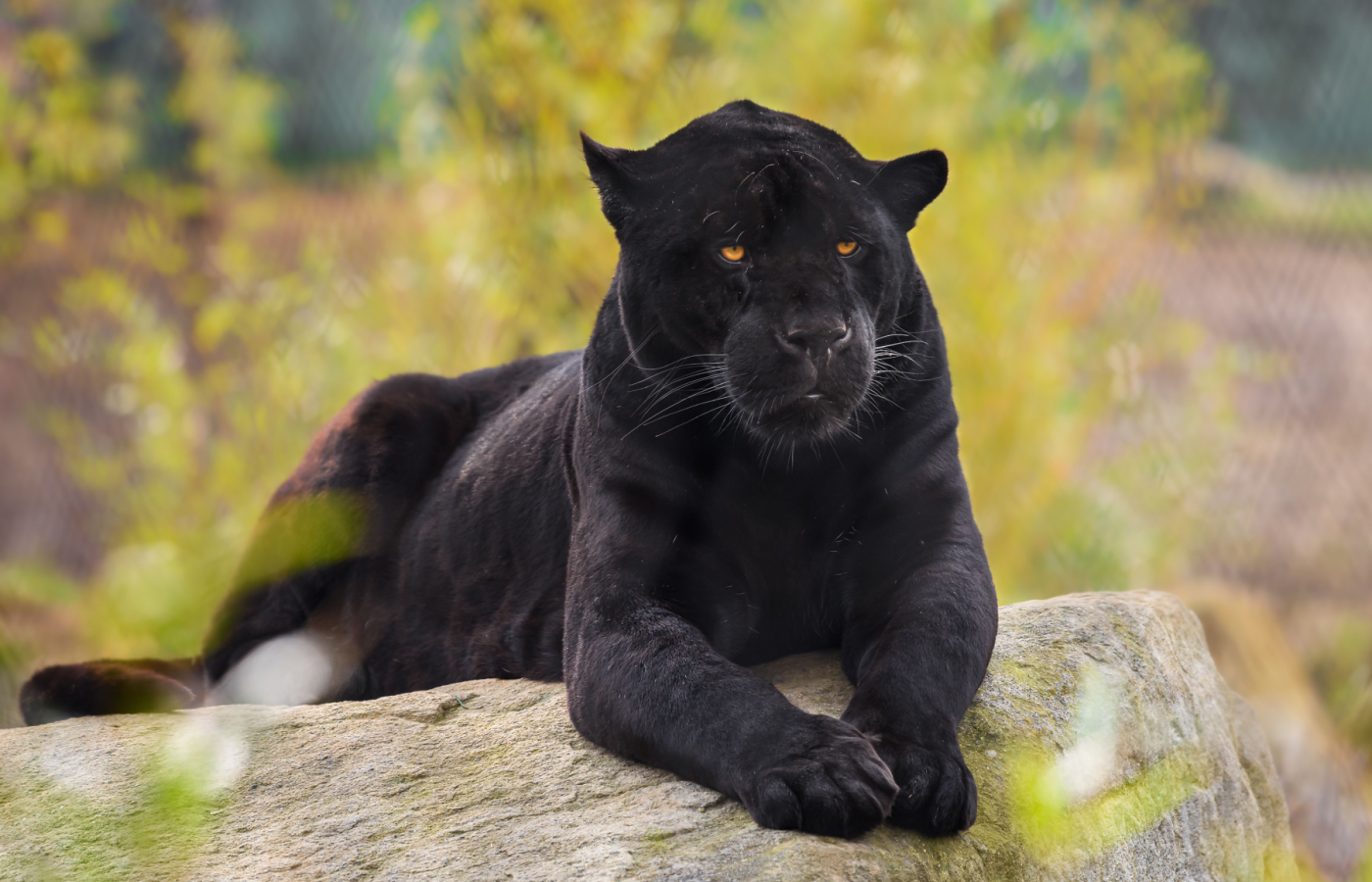 Květen v Zoo Zlín