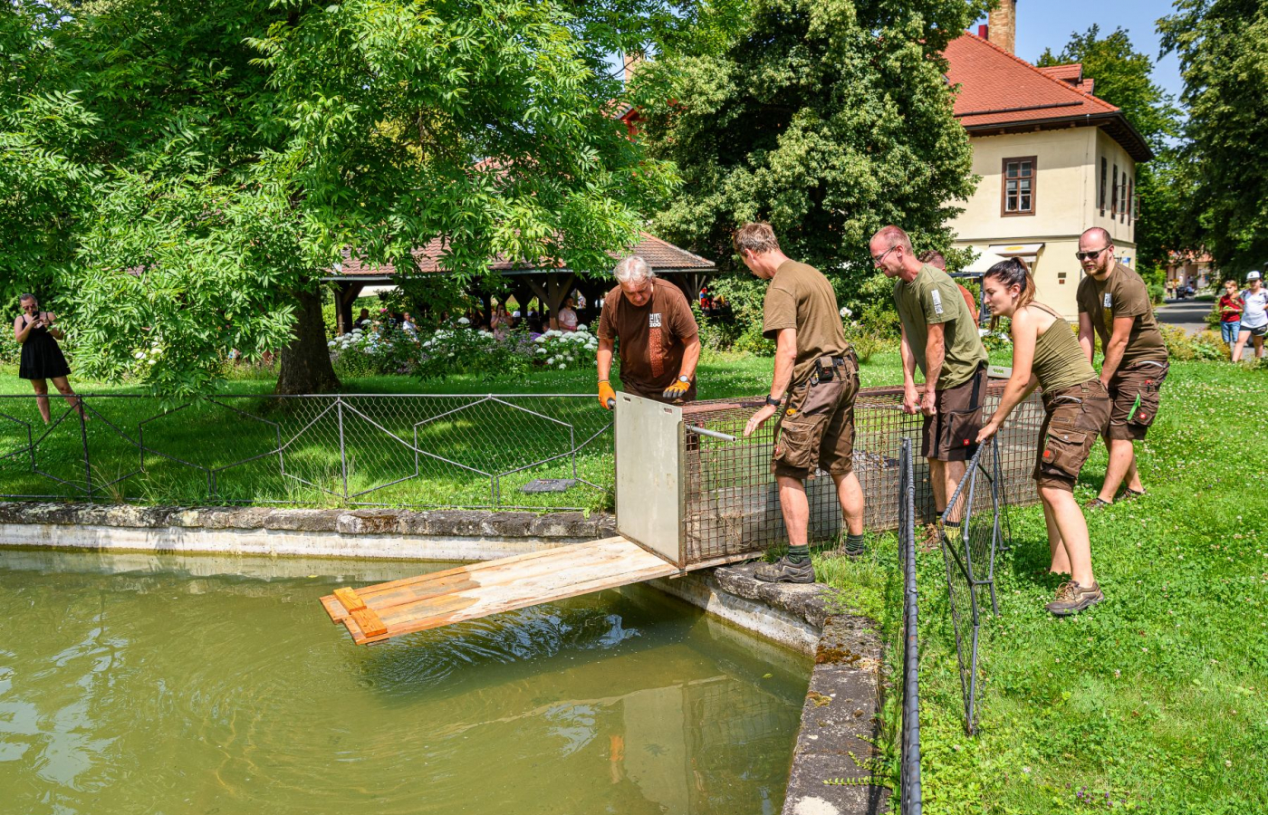 Aligátoři opět v letní expozici