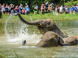 Zážitky v Zoo Zlín