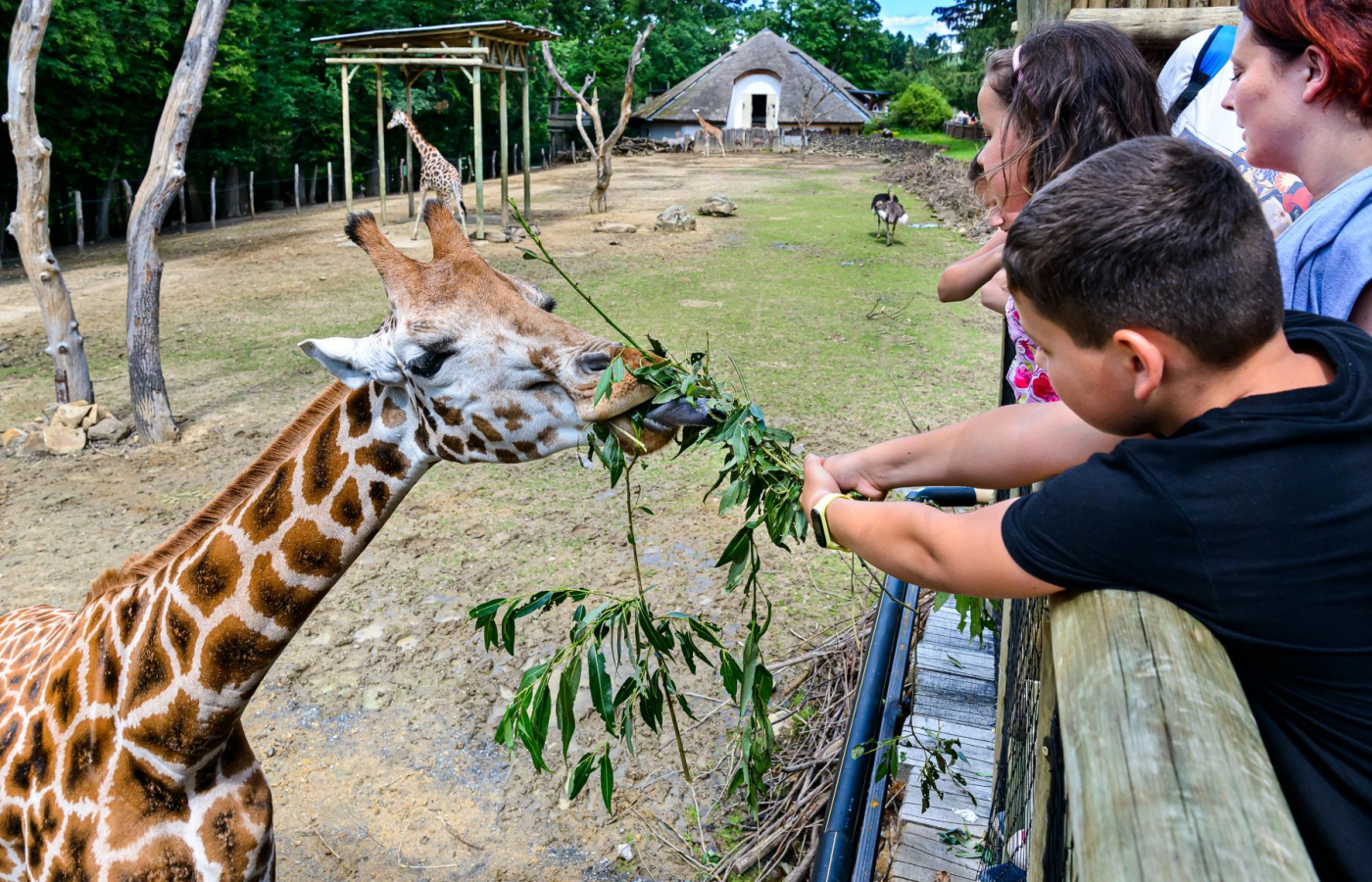 Zážitky v Zoo Zlín