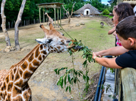 Zážitky v Zoo Zlín