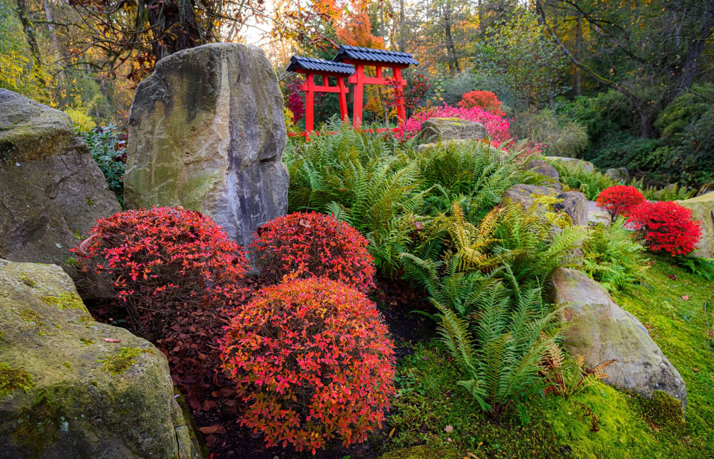 Colorful fall season in the zoo