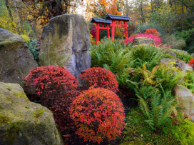Colorful fall season in the zoo