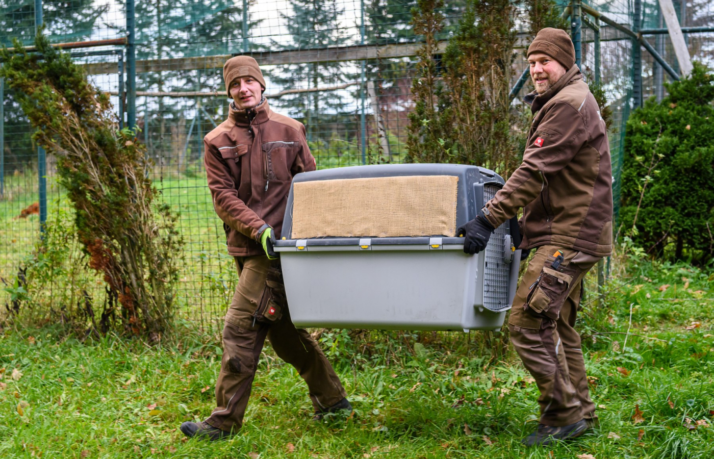 Two more vultures to be released