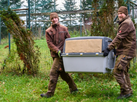 Two more vultures to be released