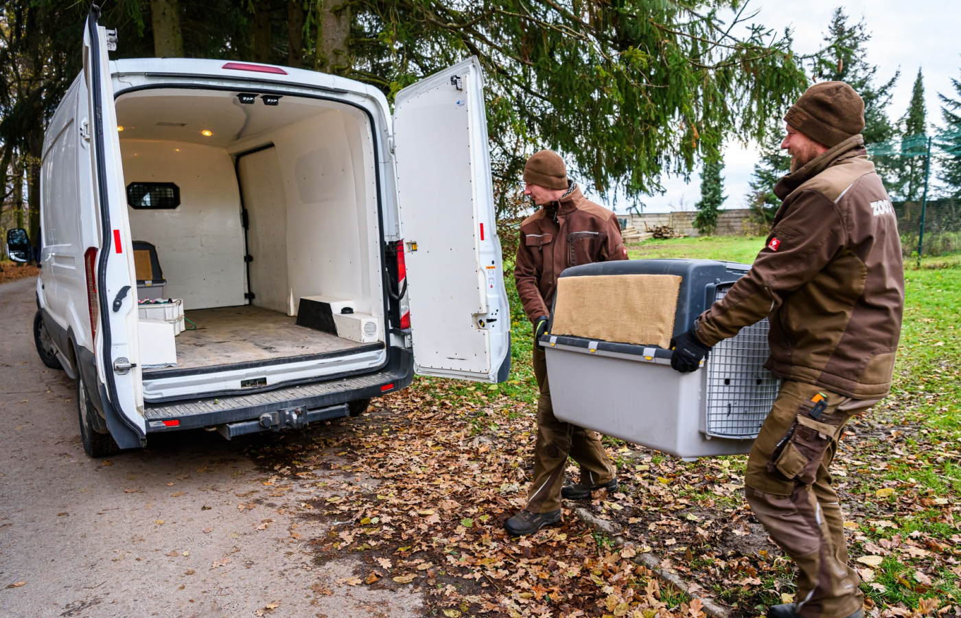 Two more vultures to be released
