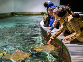 Nenechte si ujít návštěvu zimní Zoo Zlín