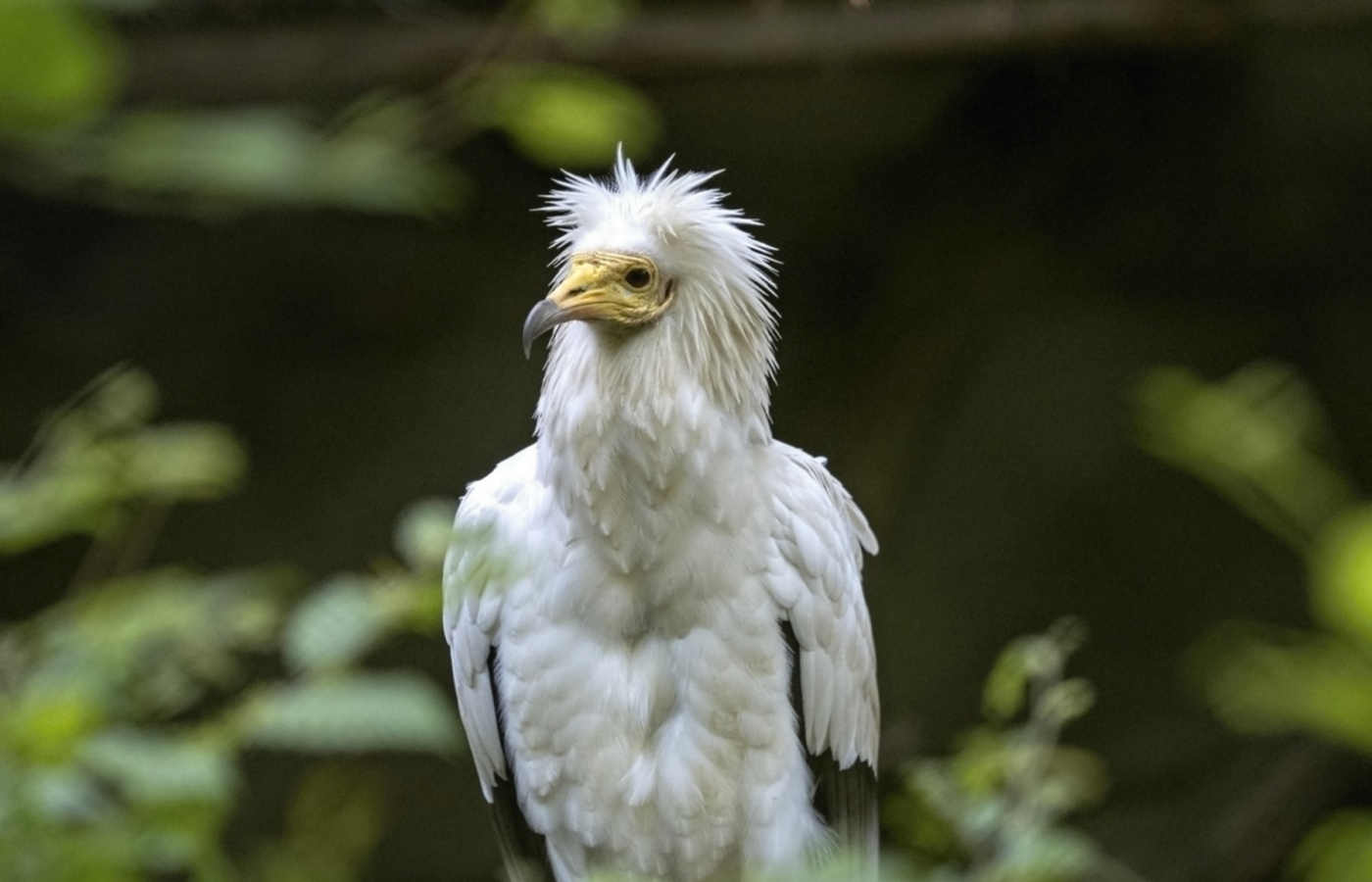2024: Zlín Zoo attendance among the top three ever recorded