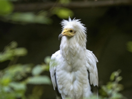2024: Zlín Zoo attendance among the top three ever recorded
