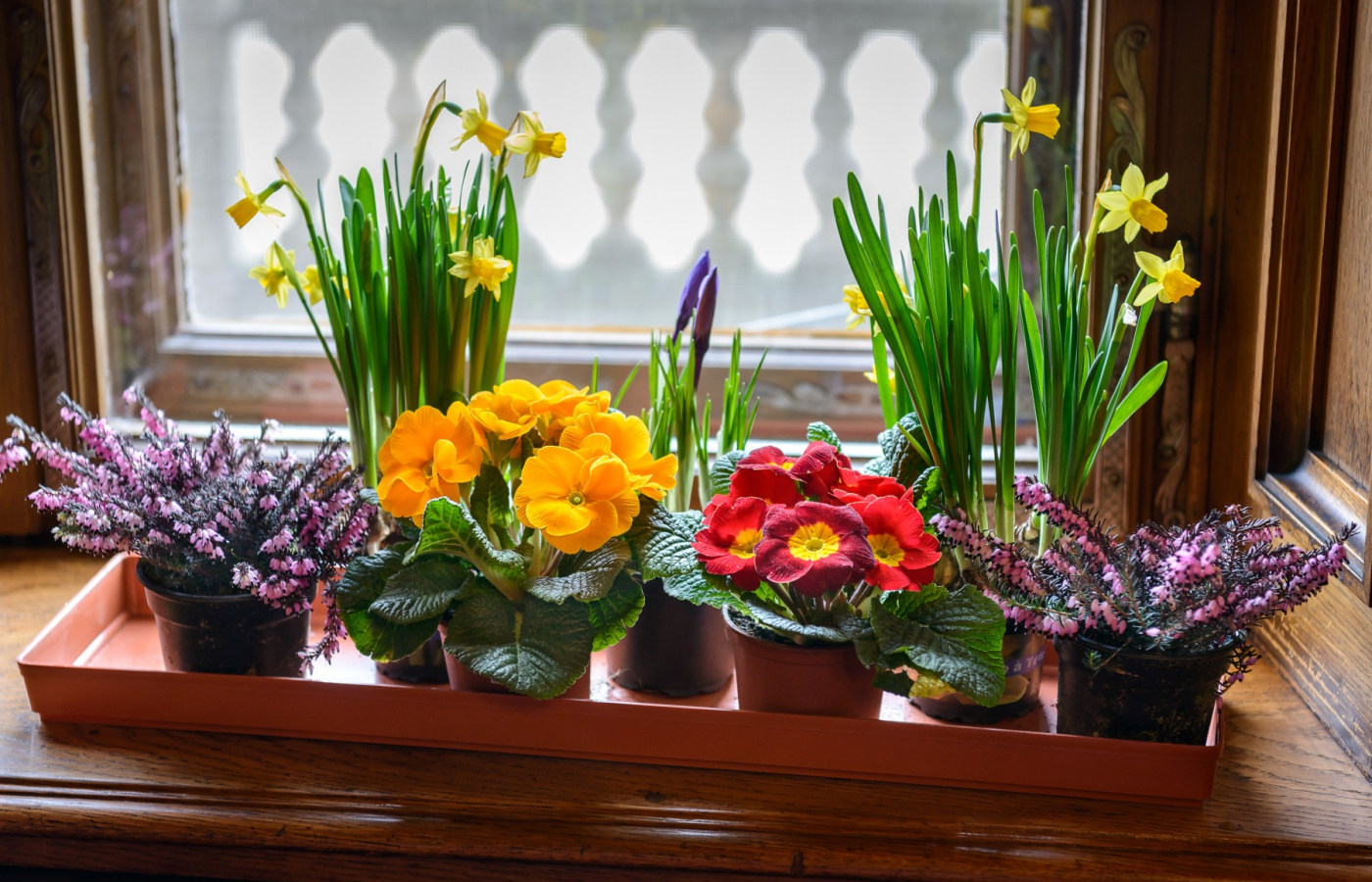 Oslavte Velikonoce v Zoo Zlín!