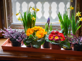 Oslavte Velikonoce v Zoo Zlín!