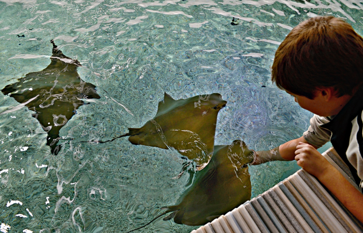 Oslavte Velikonoce v Zoo Zlín!