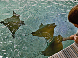 Oslavte Velikonoce v Zoo Zlín!